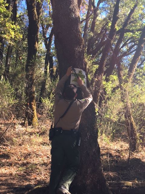 Homeless Camp Operation 9/29/2016